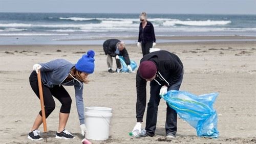 Four volunteers clean up a beach.